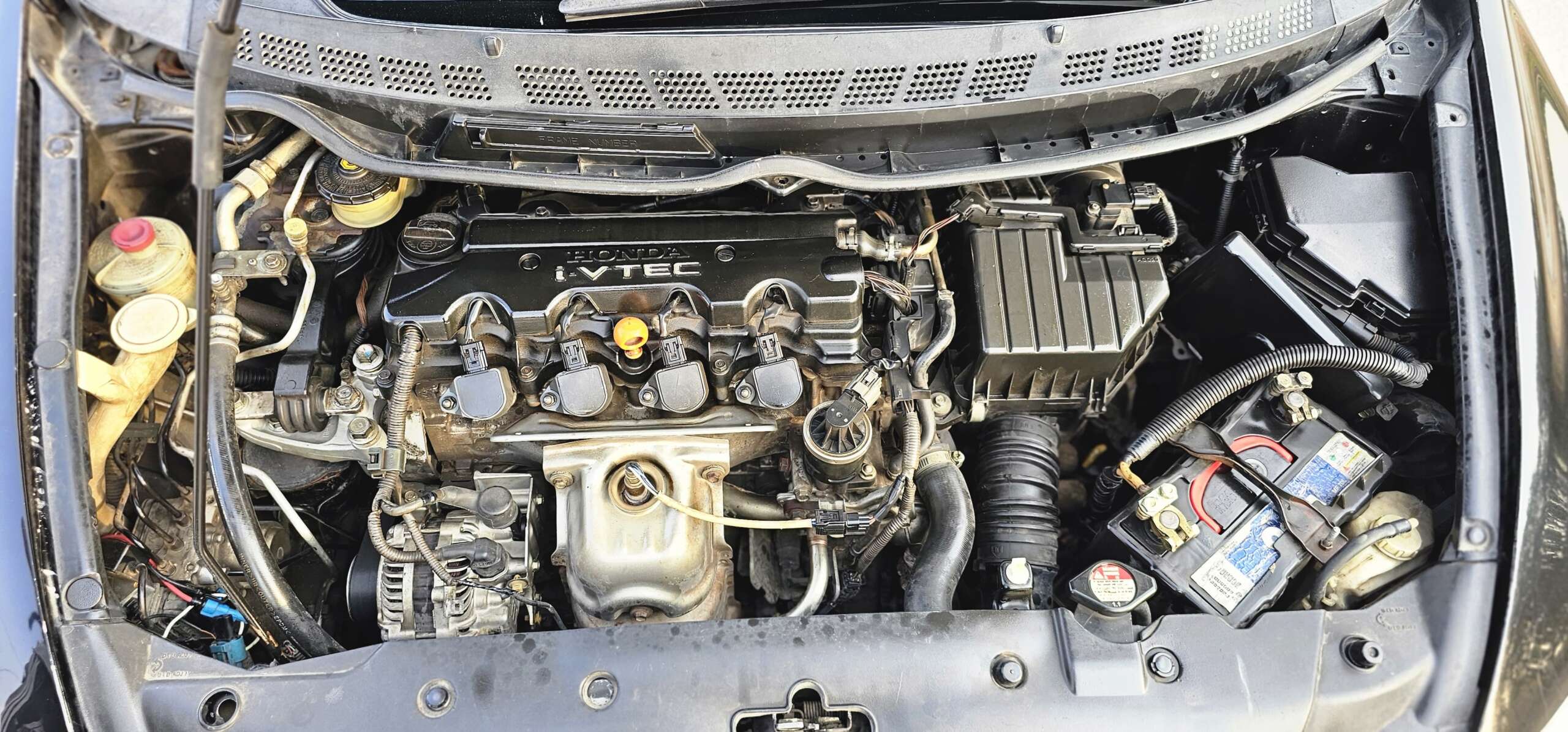 CIVIC REBONE (VTi 1.8 i-vtec)