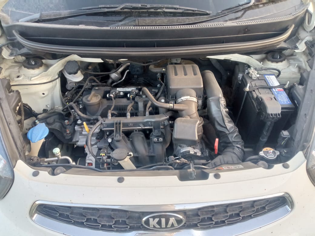 KIA - PICANTO