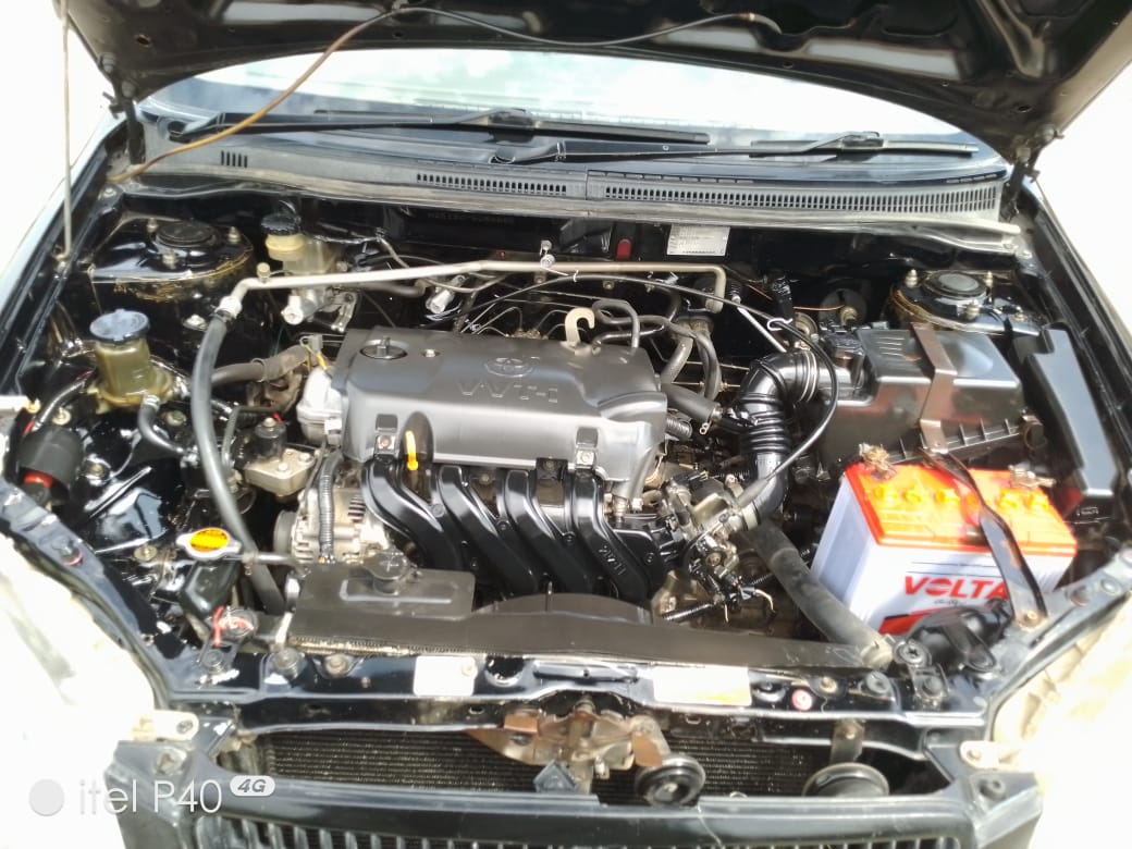 COROLLA GLi