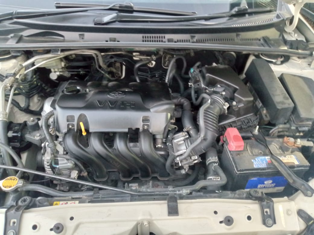 COROLLA GLi
