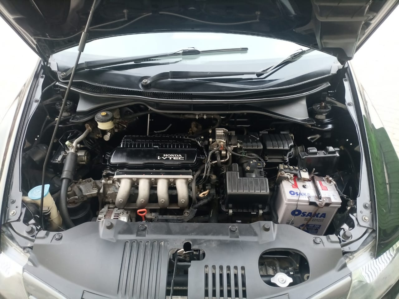 HONDA CITY - i-vtec - 1.3 - Prosmatec
